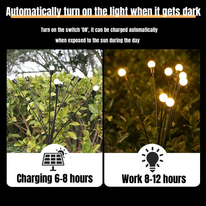 Solar Powered Garden Lights