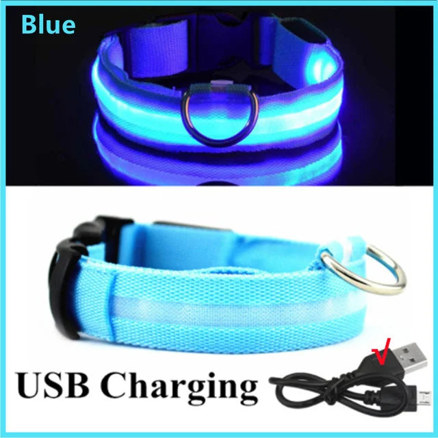 LED-glowing Glowing collar