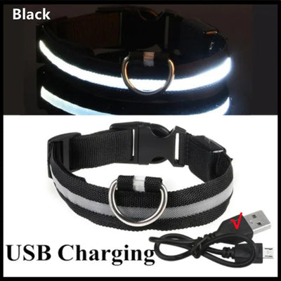 LED-glowing Glowing collar