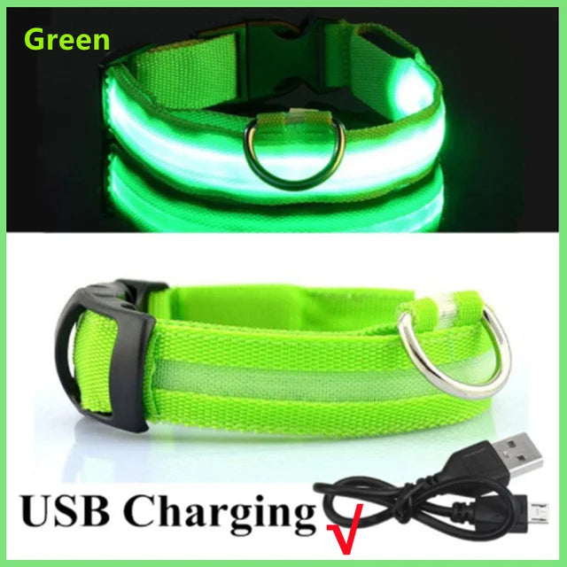 LED-glowing Glowing collar