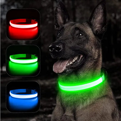 LED-glowing Glowing collar