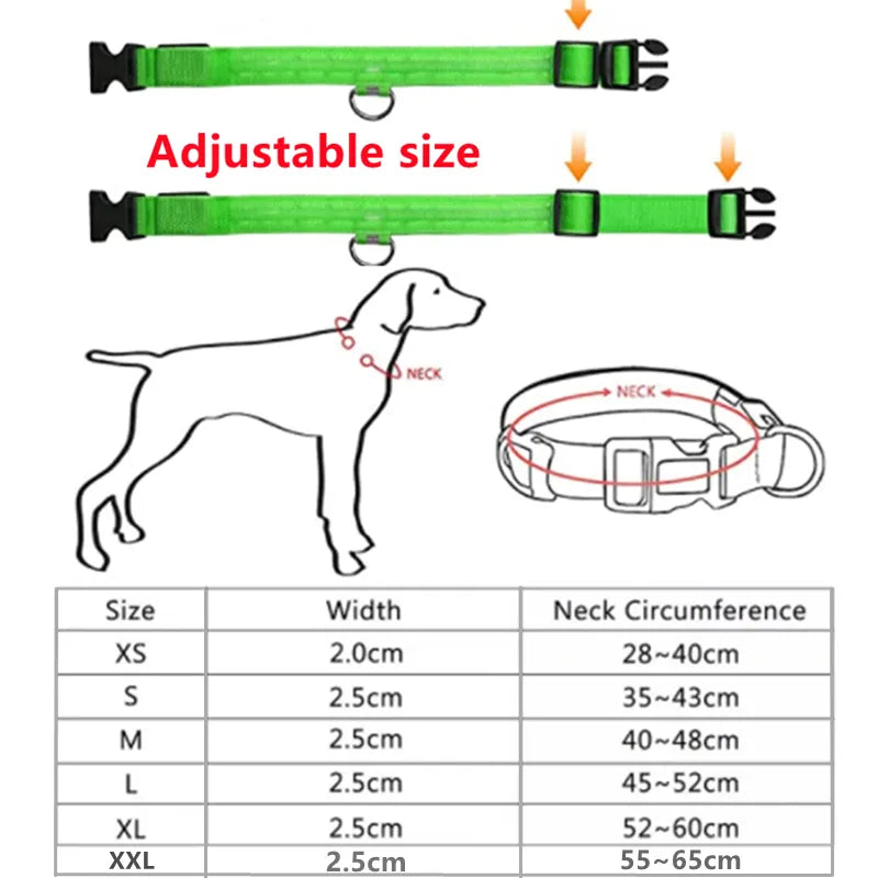 LED-glowing Glowing collar