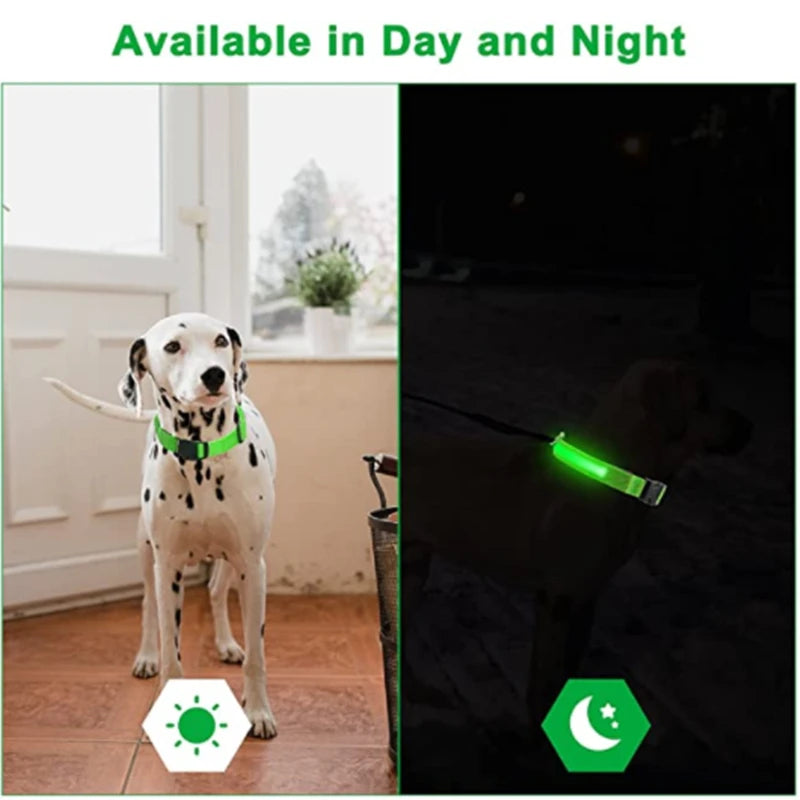 LED-glowing Glowing collar