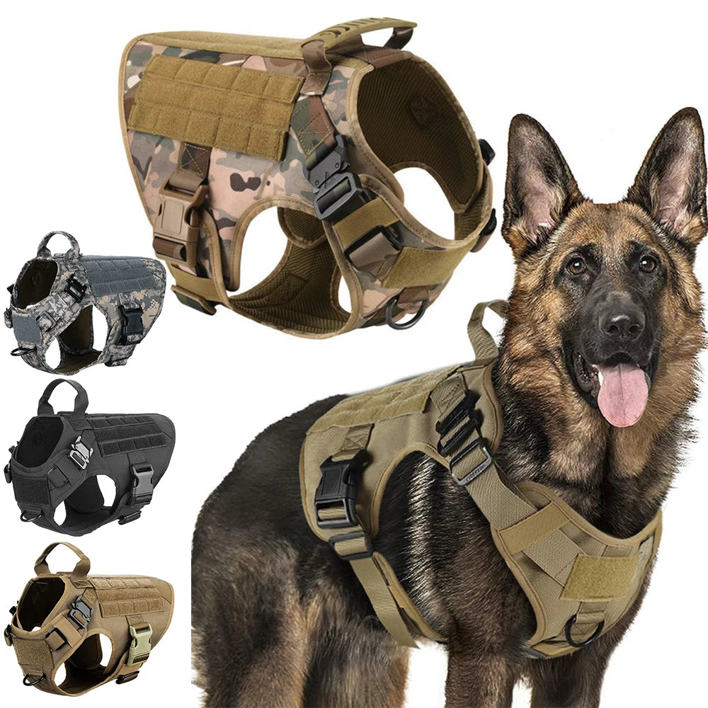 Large Dog Harness And Leash Set