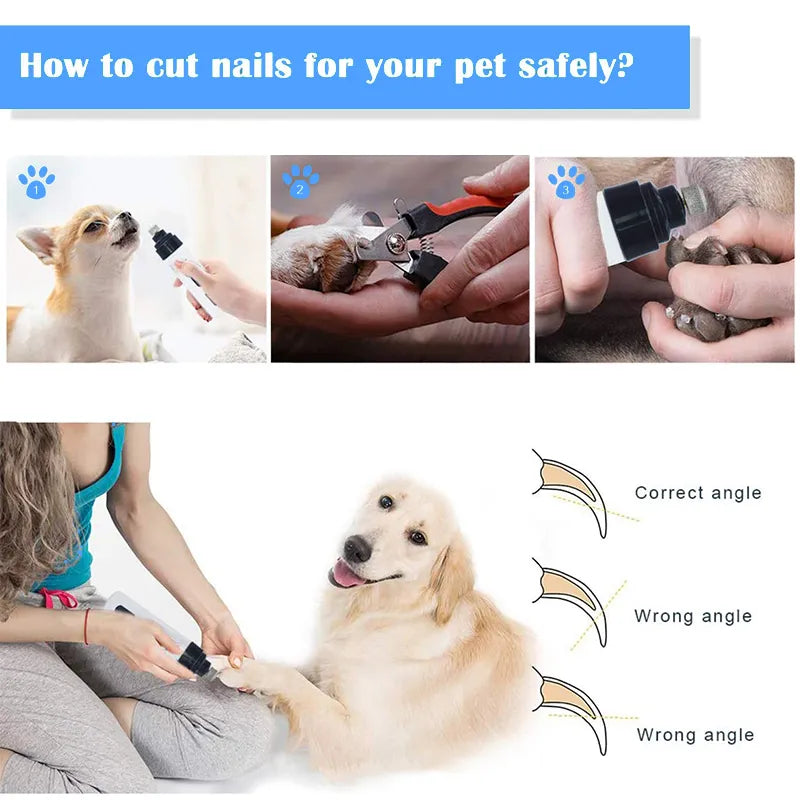 Painless Dog Nail Grinder