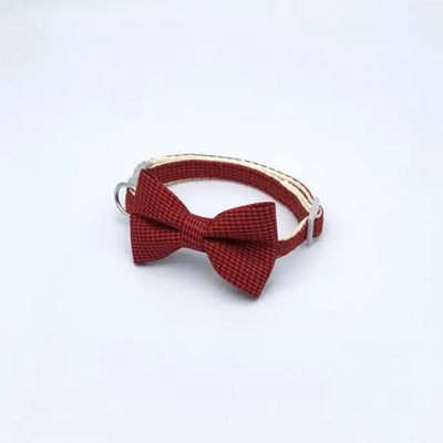 Cute Bow Kitten Collar