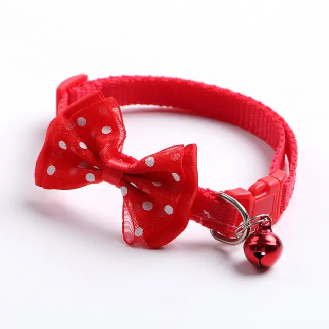 Cute Bow Kitten Collar