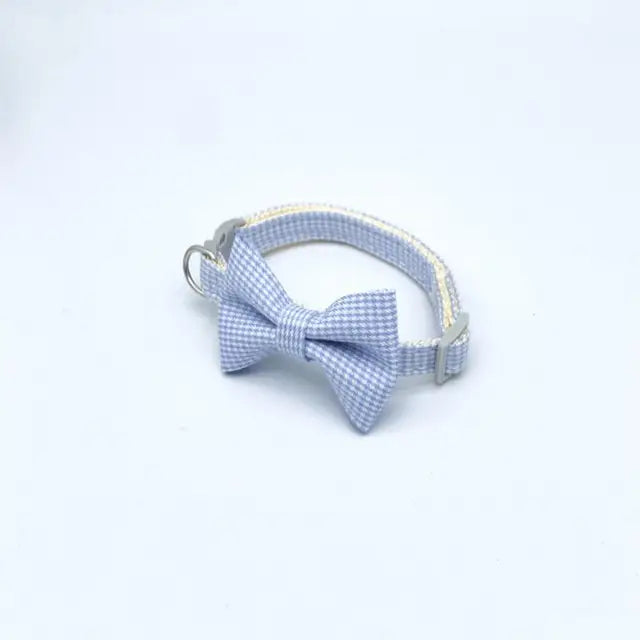 Cute Bow Kitten Collar