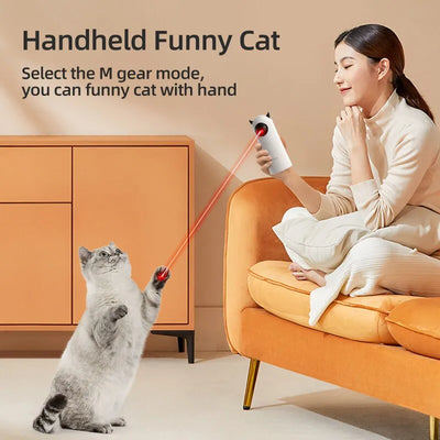 Interactive Smart Teasing Pet LED Laser