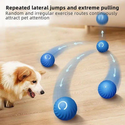 Smart Dog Toy Ball