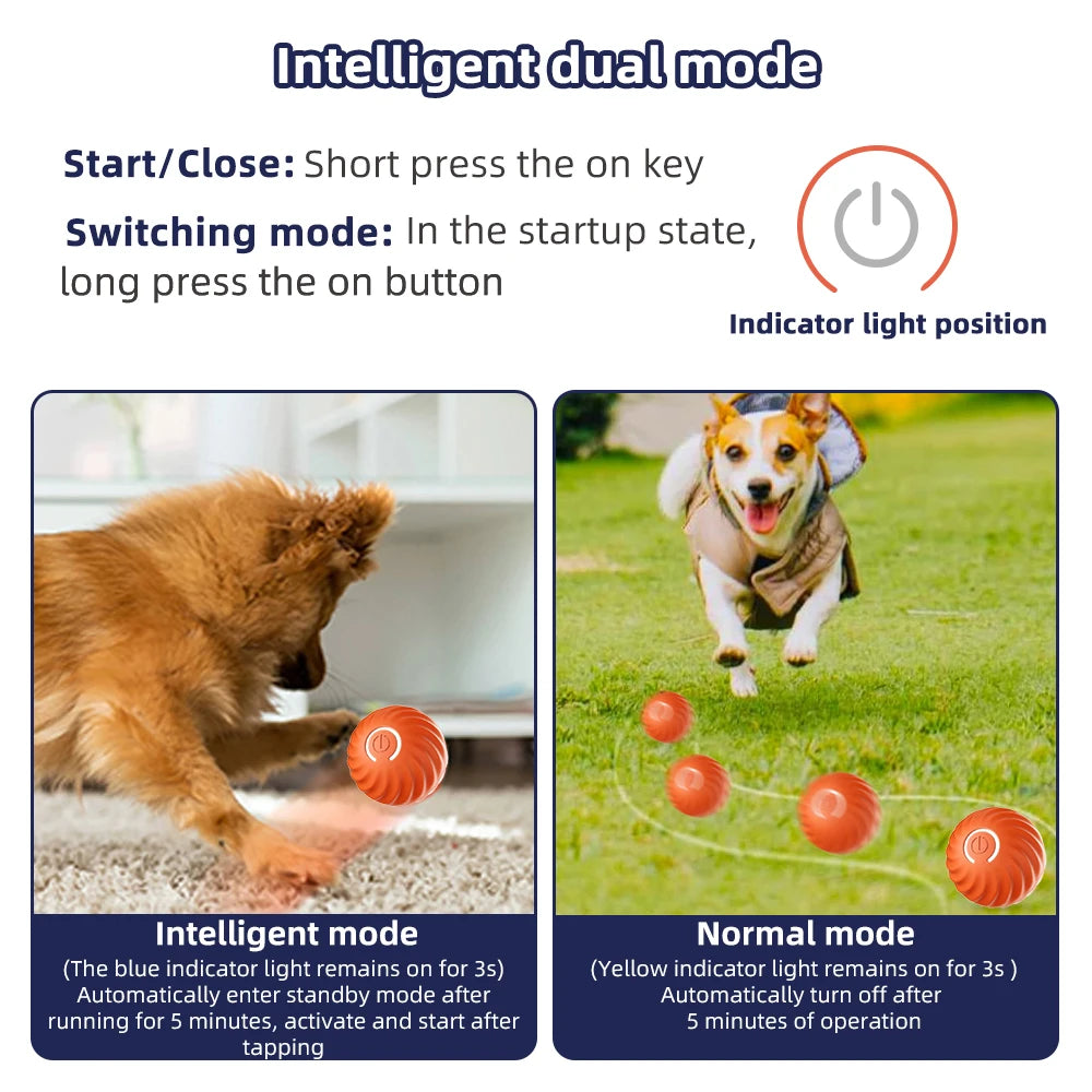 Smart Dog Toy Ball