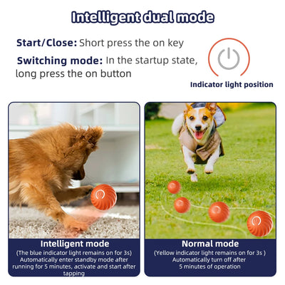 Smart Dog Toy Ball